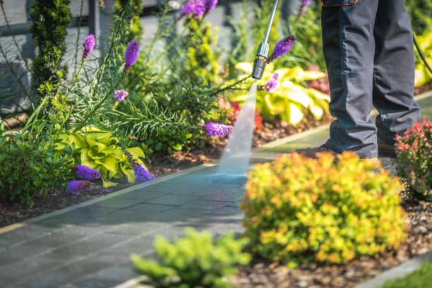 Trusted River Hills, WI Pressure Washing Services Experts