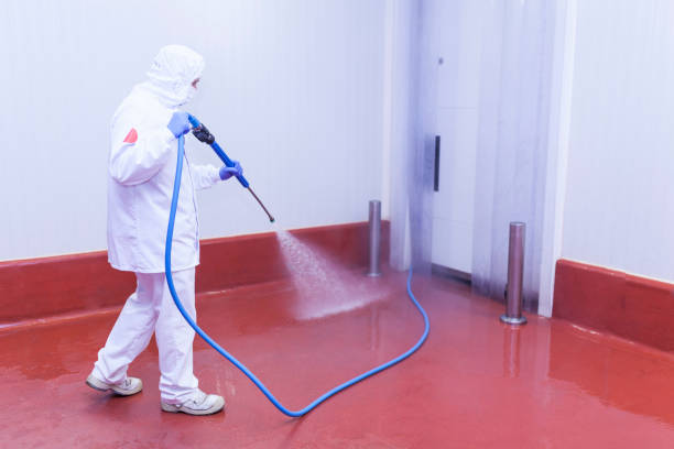 Best Residential Pressure Washing in River Hills, WI